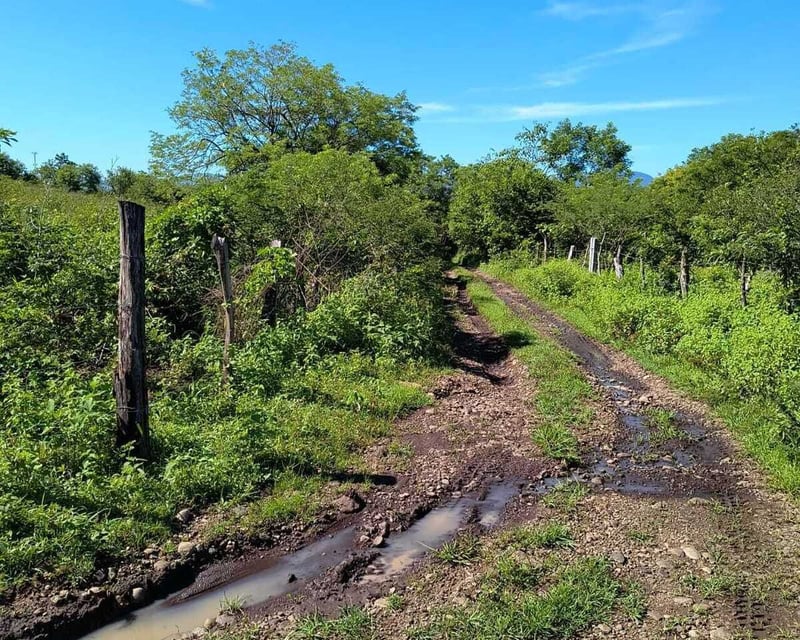 ORATORIO / Km.92 Carretera Salvador Ideal para hacer bodegas o lotificar