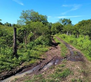 ORATORIO / Km.92 Carretera Salvador Ideal para hacer bodegas o lotificar