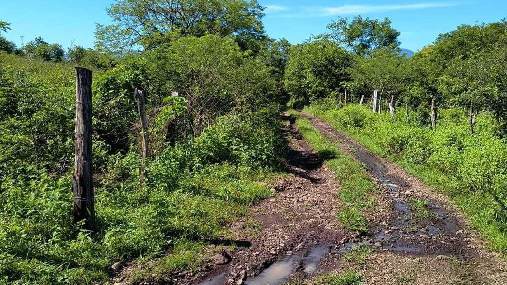 ORATORIO / Km.92 Carretera Salvador Ideal para hacer bodegas o lotificar