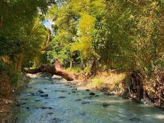 Terreno en Venta en Sanarate camino a Jalapa - 4