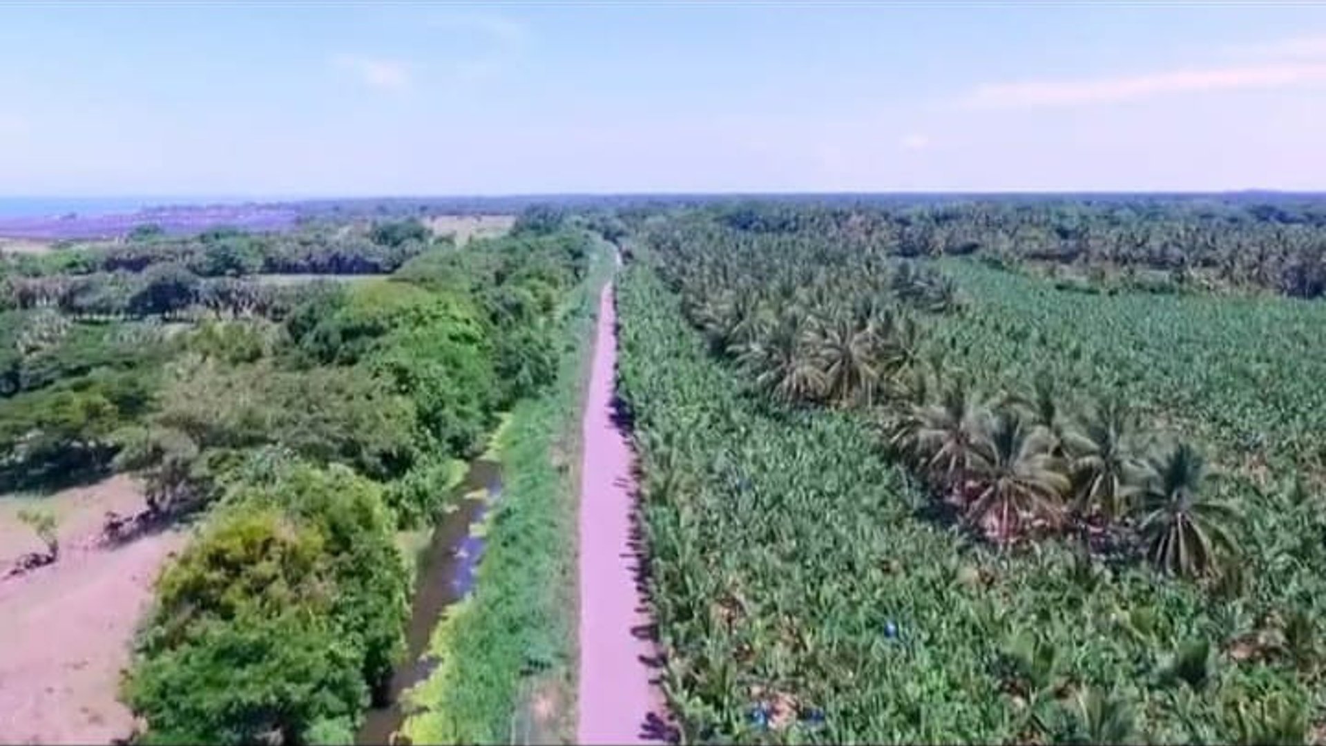 Finca en Venta en Tiquisate Escuintla - Miniatura 5