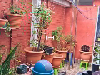 Casa en venta en Alamedas de Villa Flores - Image 8