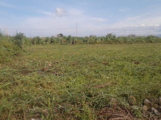 Terrenos en Venta en Quintas La Ponderosa Km. 77 Guatemala - 5
