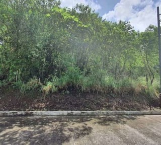 Vendo Terreno en Casa y Campo