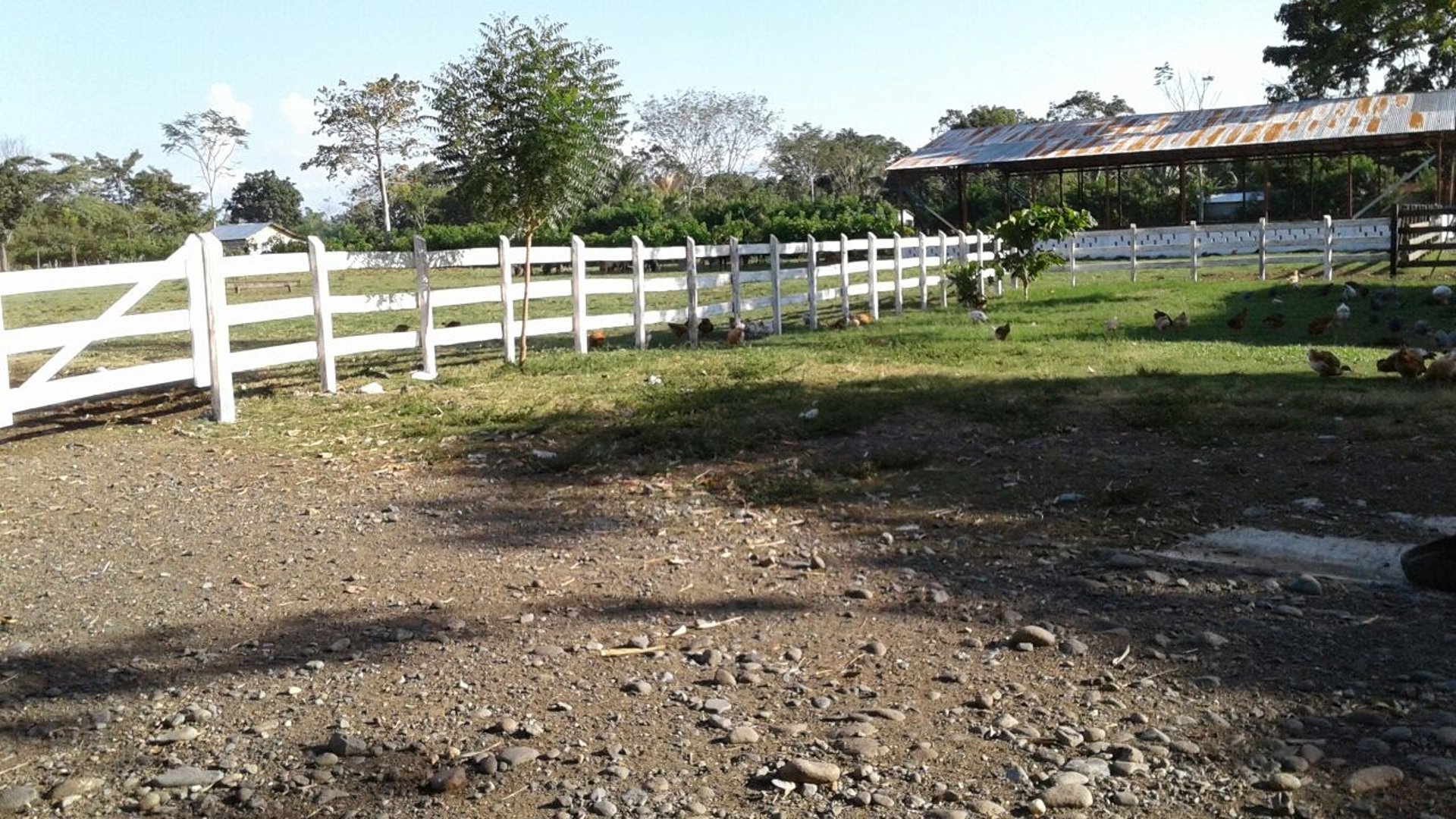 FINCA EN VENTA EN ALDEA EL SAUCE  - Miniatura 9