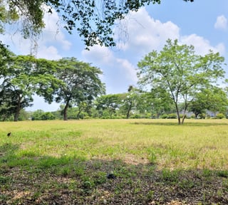 VENTA Terreno Industrial para Bodega Km 67.5 a Taxisco - Miniatura 5