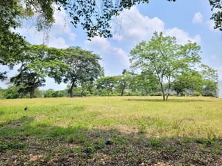 VENTA Terreno Industrial para Bodega Km 67.5 a Taxisco - 5