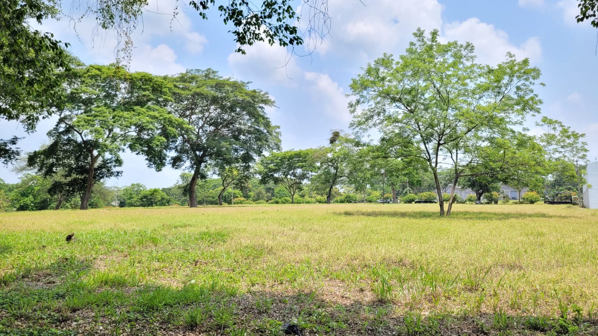 VENTA Terreno Industrial para Bodega Km 67.5 a Taxisco - Miniatura 5