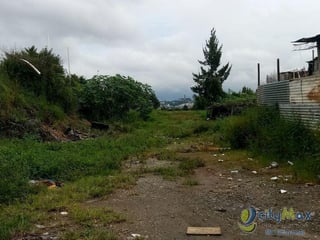 Vendo Terreno de 7,250vrs² adelante de Ciudad Peronia - Image 1