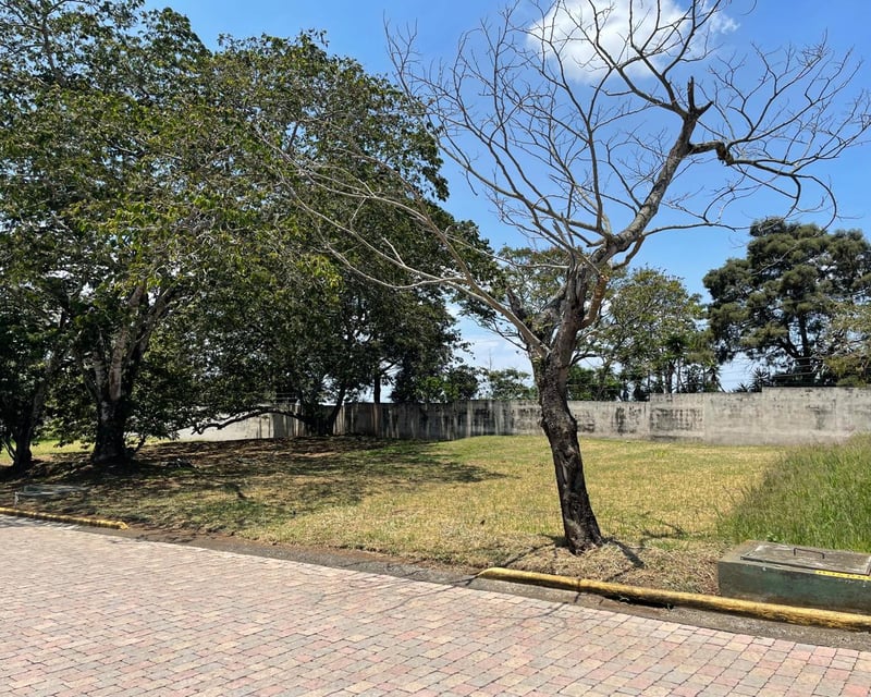 📍 TERRENO EN VENTA  | SAN MARTÍN DE ALLENDE | KM. 29.5 FRAIJANES