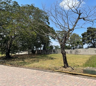📍 TERRENO EN VENTA  | SAN MARTÍN DE ALLENDE | KM. 29.5 FRAIJANES