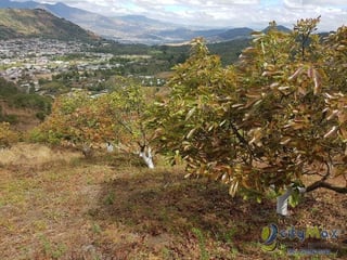 Terreno en Venta de 2.6 manzanas en San Vicente Pacaya - 3