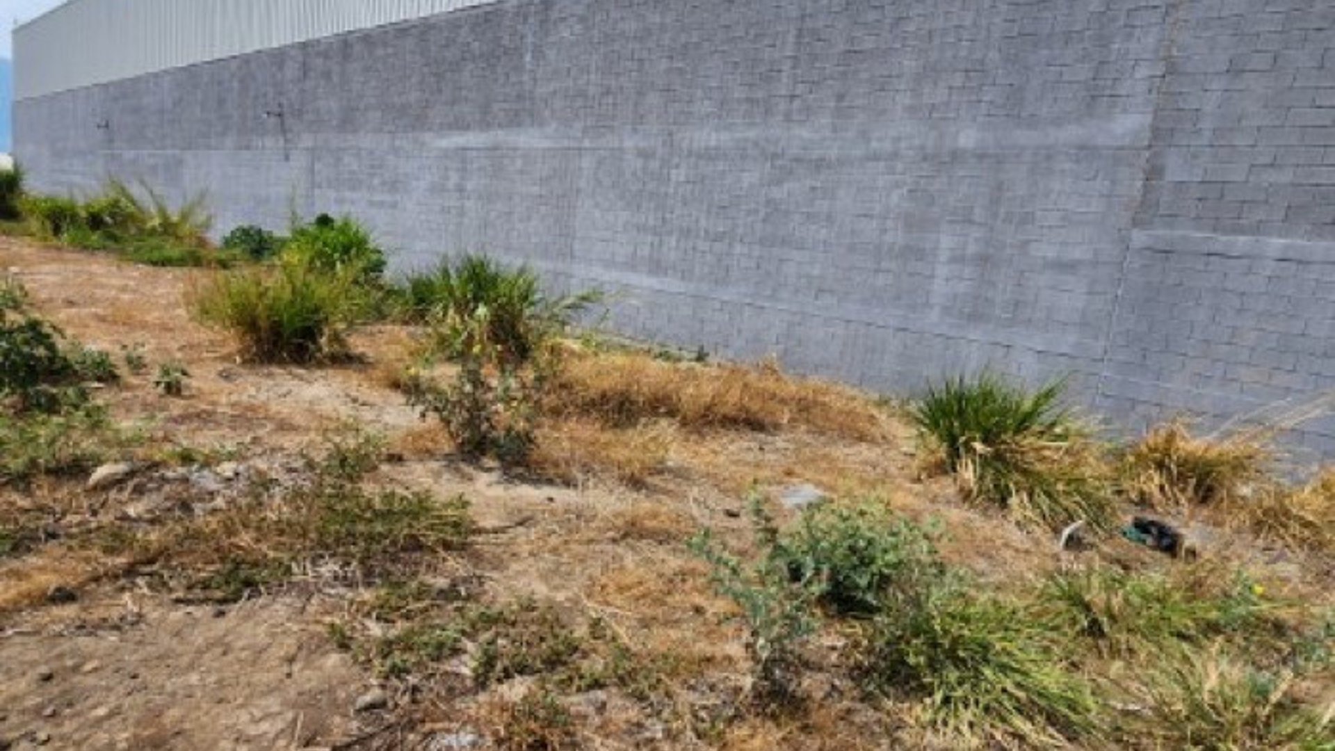 Terreno Industrial en Renta en Palin Escuintla - Miniatura 15