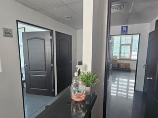 Oficina en renta zona 15 / Domani - 2