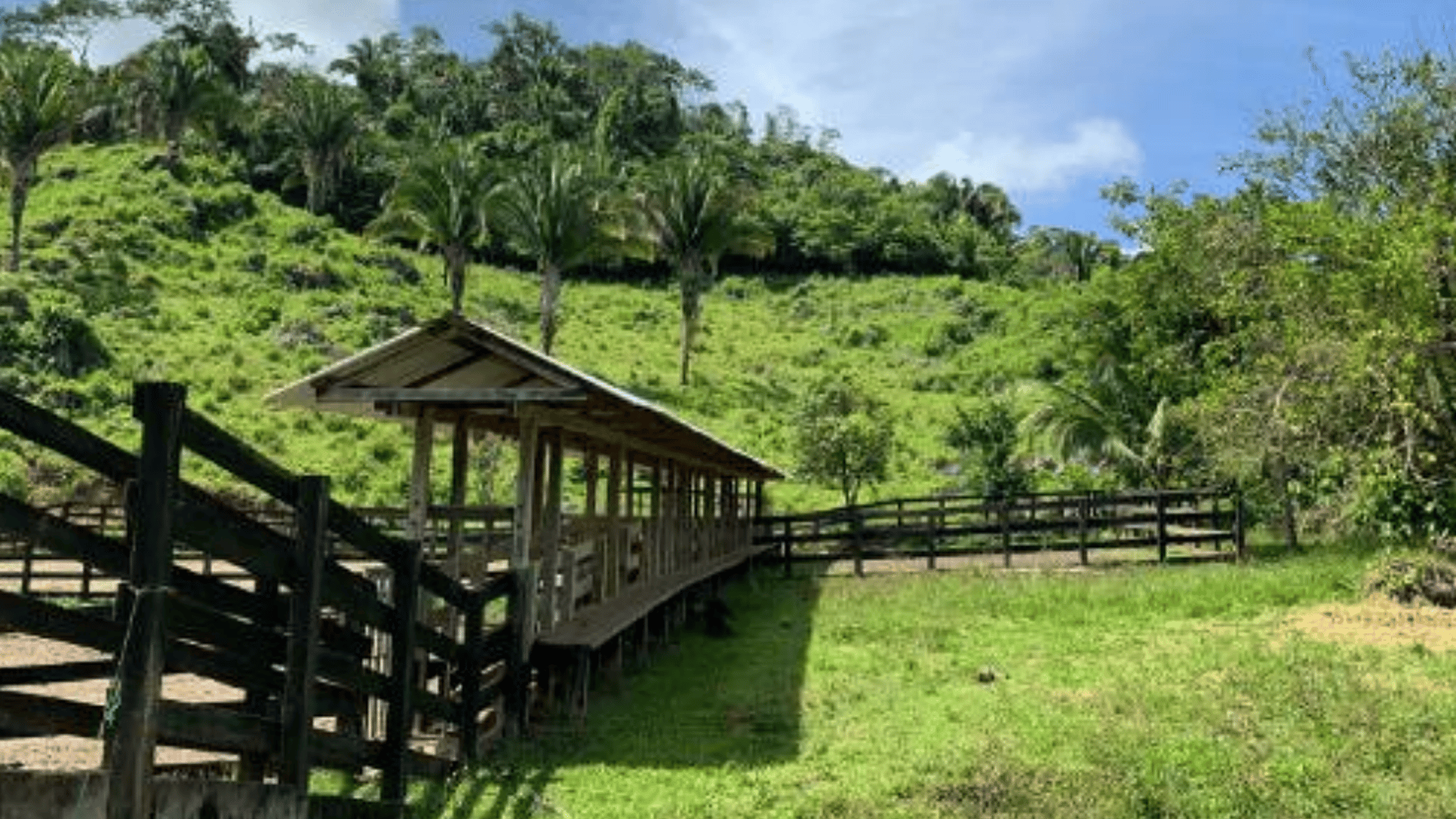 Finca en VENTA en  Municipio Nuevo Chahal, Alta Verapaz - Miniatura 12