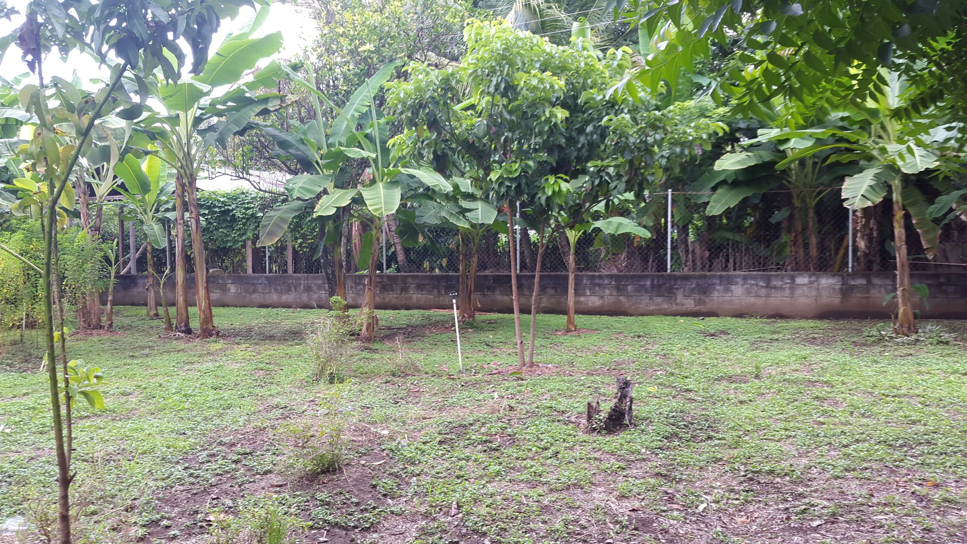 FINCA EN VENTA EN ALDEA EL SAUCE  - Miniatura 40