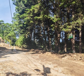 Terreno en Venta en Granja Buenos Aires