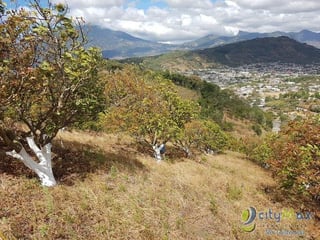 Terreno en Venta de 2.6 manzanas en San Vicente Pacaya - 5