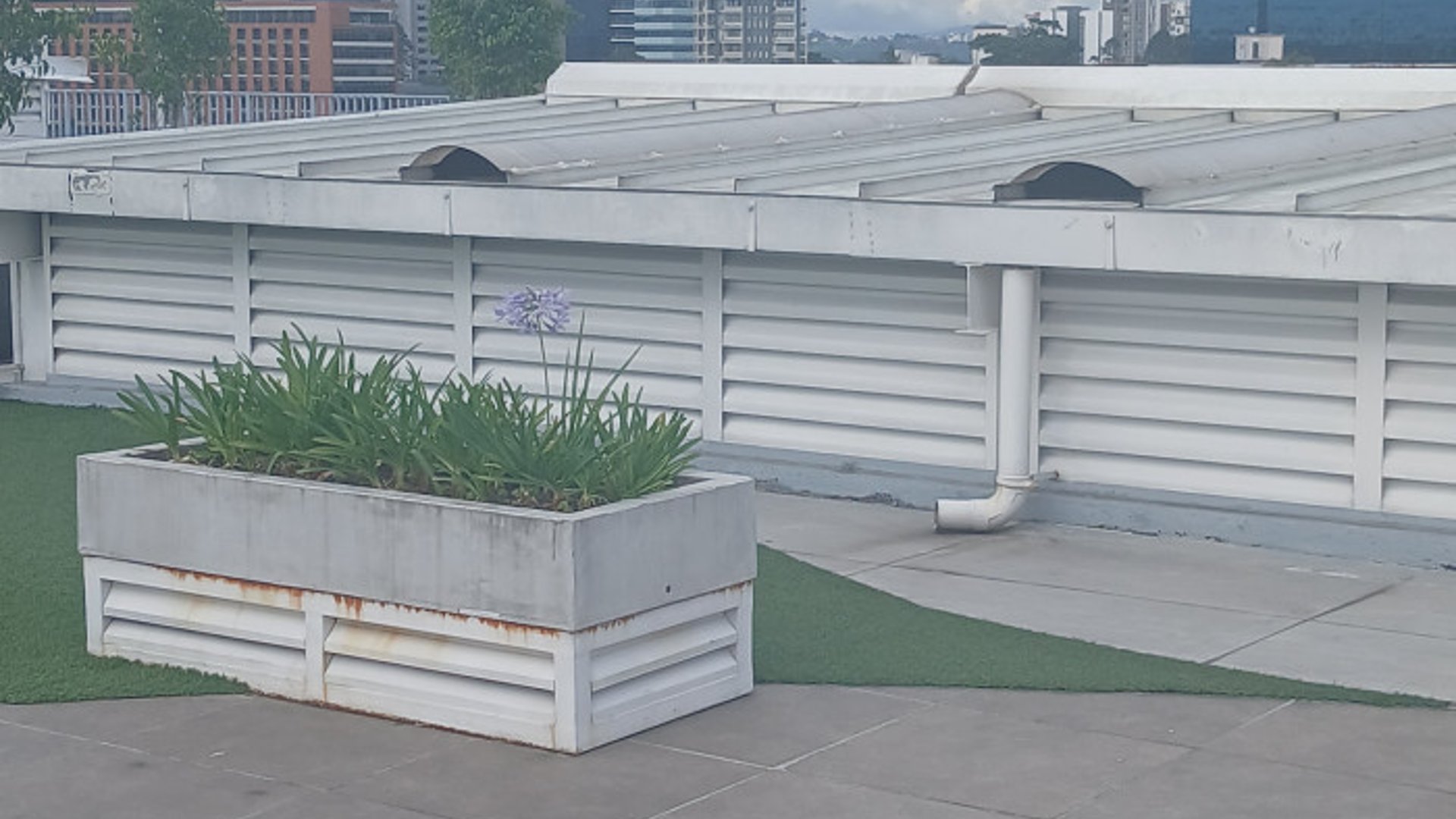 Oficina Comercial en Renta en zona 9 - Miniatura 13