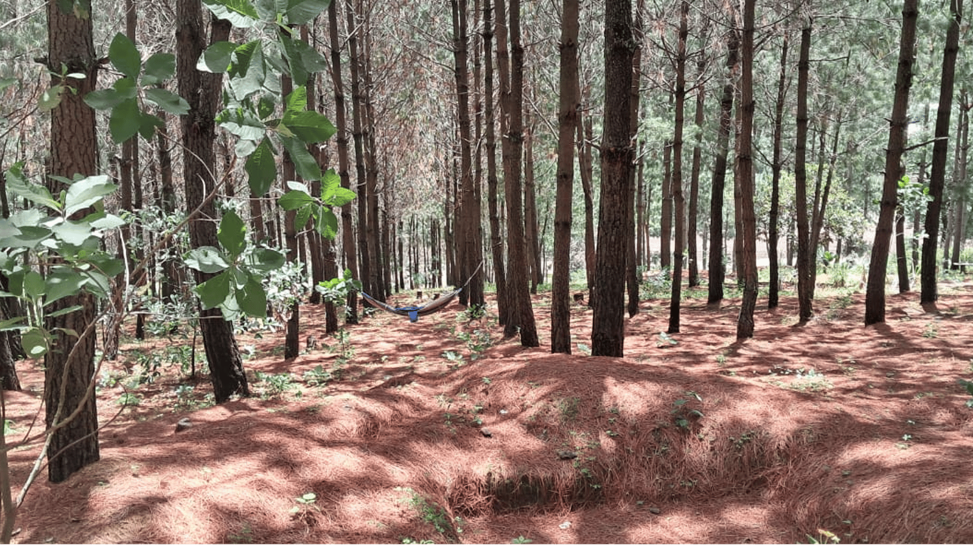 Parque ecológico en Venta en San Andres Itzapa Chimaltenango - Miniatura 14