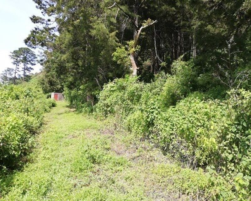 Terreno en Venta Zona 16, Carretera Cristo Rey