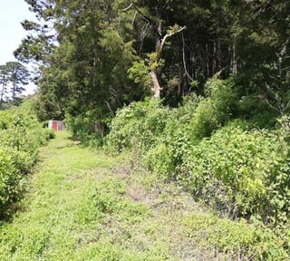 Terreno en Venta Zona 16, Carretera Cristo Rey