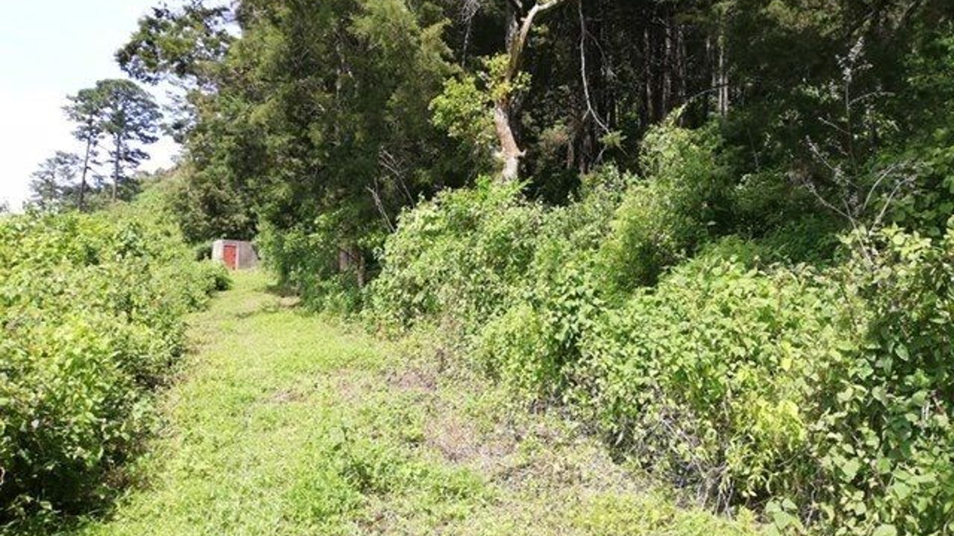 Terreno en Venta Zona 16, Carretera Cristo Rey
