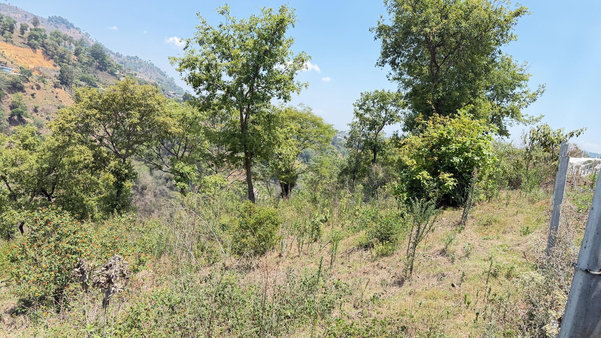 Terreno en Venta Sumpango, Sacatepéquez: 3.7 Hectáreas para su Proyecto - Miniatura 5