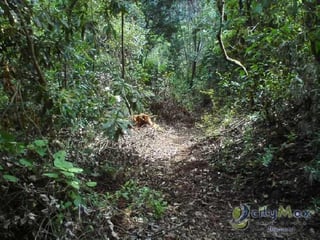 Venta Terreno en Aldea La Cumbre Villa Canales - 4