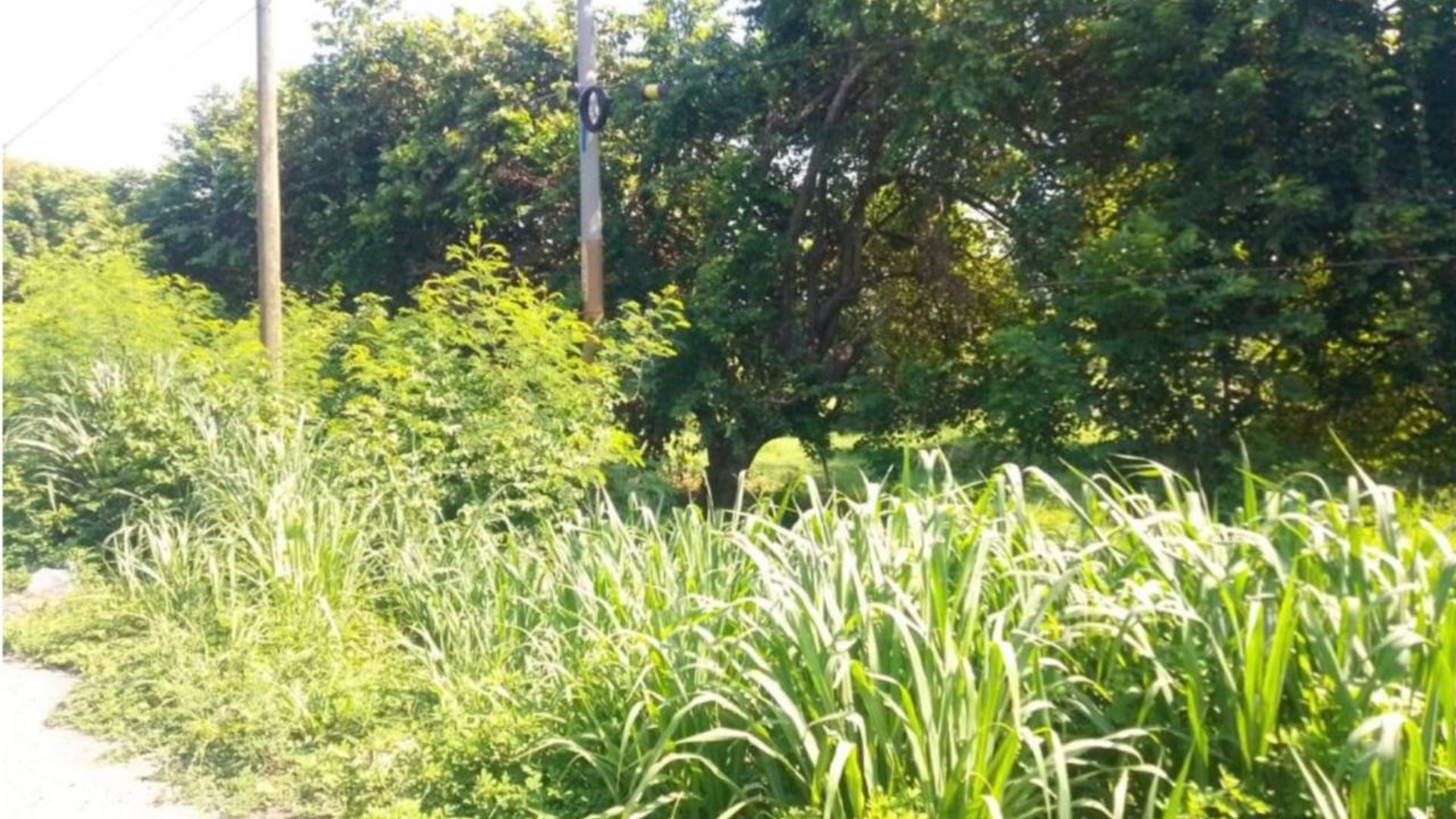 19 Manzanas en venta en Carretera Vieja al Puerto San Jose - Miniatura 4