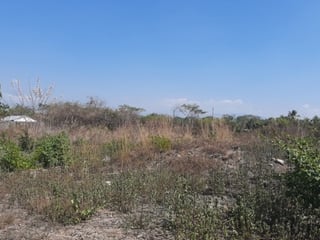 Terreno en Venta en Torre Molinos, Escuintla - 4