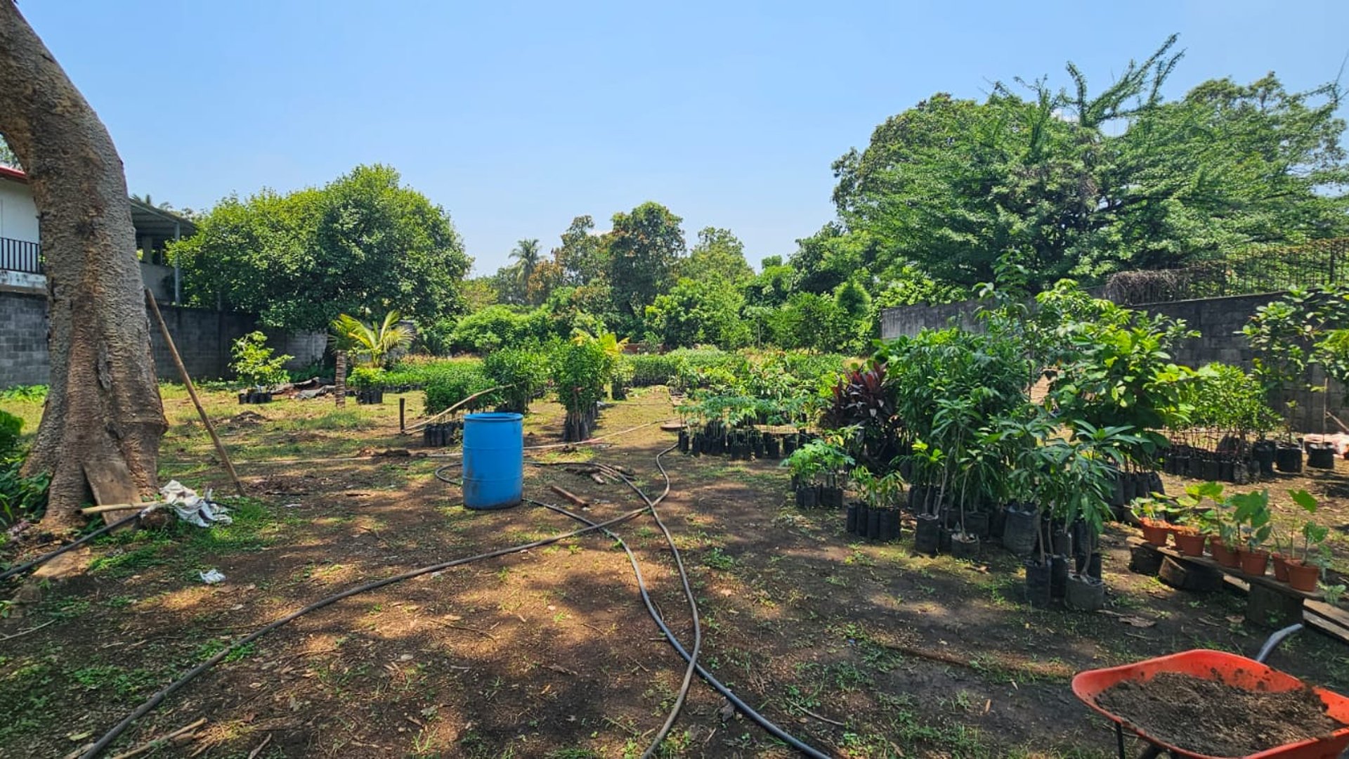 ???? TERRENO EN VENTA – 1,500 M² | QUINTAS VALLARTA | ESCUINTLA - Miniatura 12