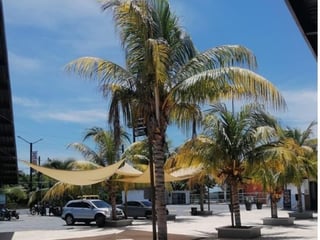 Alquilo Local comercial en  Iztapa, Puerto de San José - 4