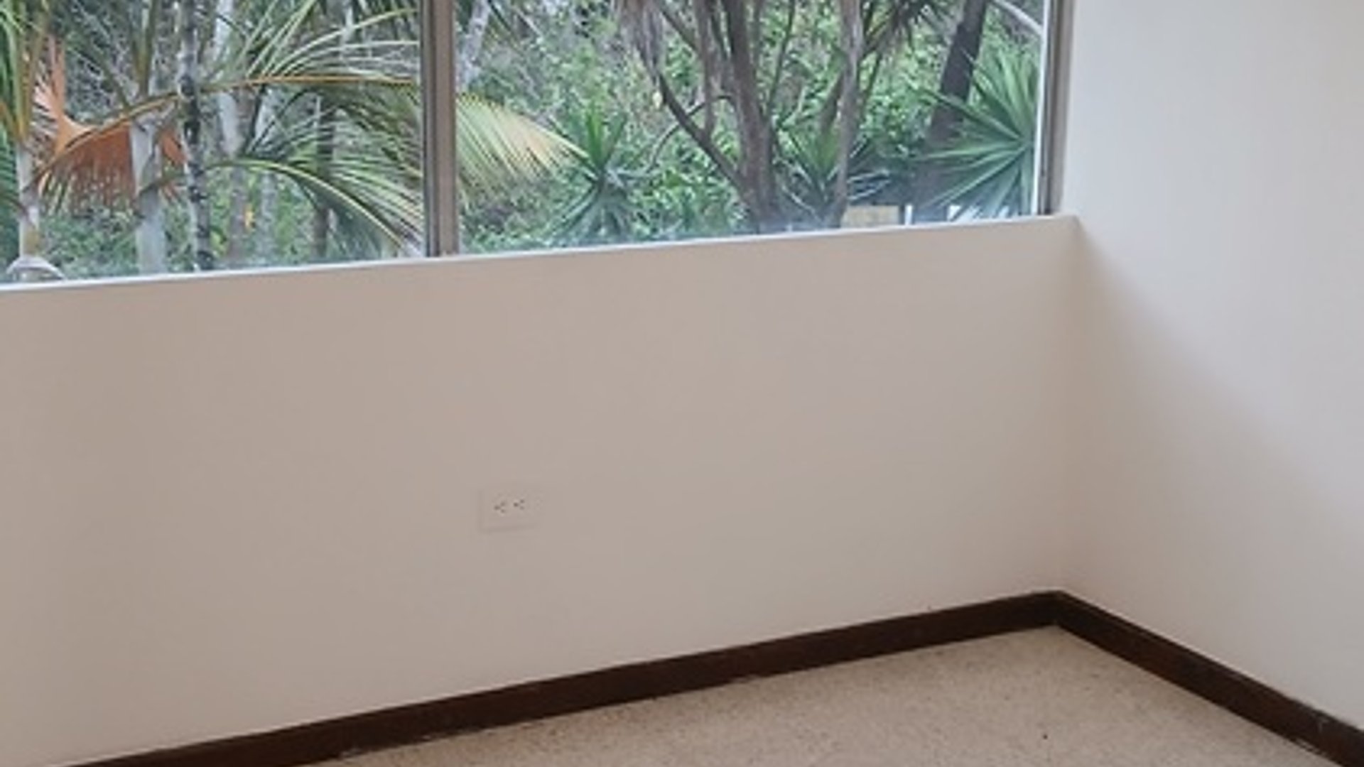 VENDO ZONA 3 CASA GRANDE EN COLONIA BRAN - Miniatura 23