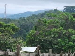 Km 18.2 al Occidente Pueblo Nuevo Viñas, área de Santa Rosa. - 5