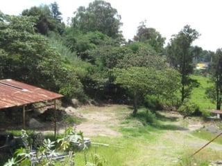 Terreno Comercial en alquiler Km.14.5 Car. Pacífico - 4