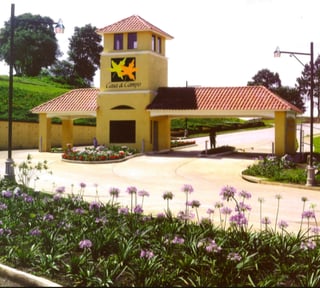 precioso Terreno En Venta En Casa y Campo, Carretera al Salvador