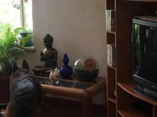 Casa en Venta en Km.16.5 Carretera a El Salvador - 4