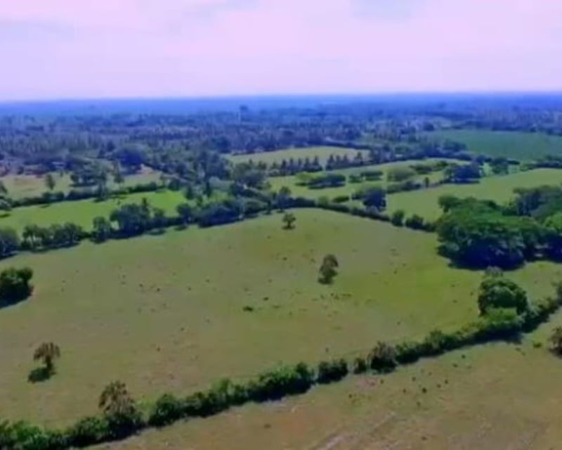 Finca en Venta en Tiquisate Escuintla