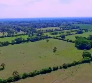 Finca en Venta en Tiquisate Escuintla