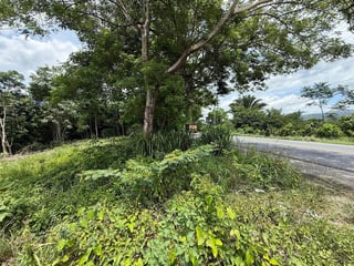 Terreno en Venta – Km 240 CA-9, Ruta al Atlántico, Morales, Izabal - 3