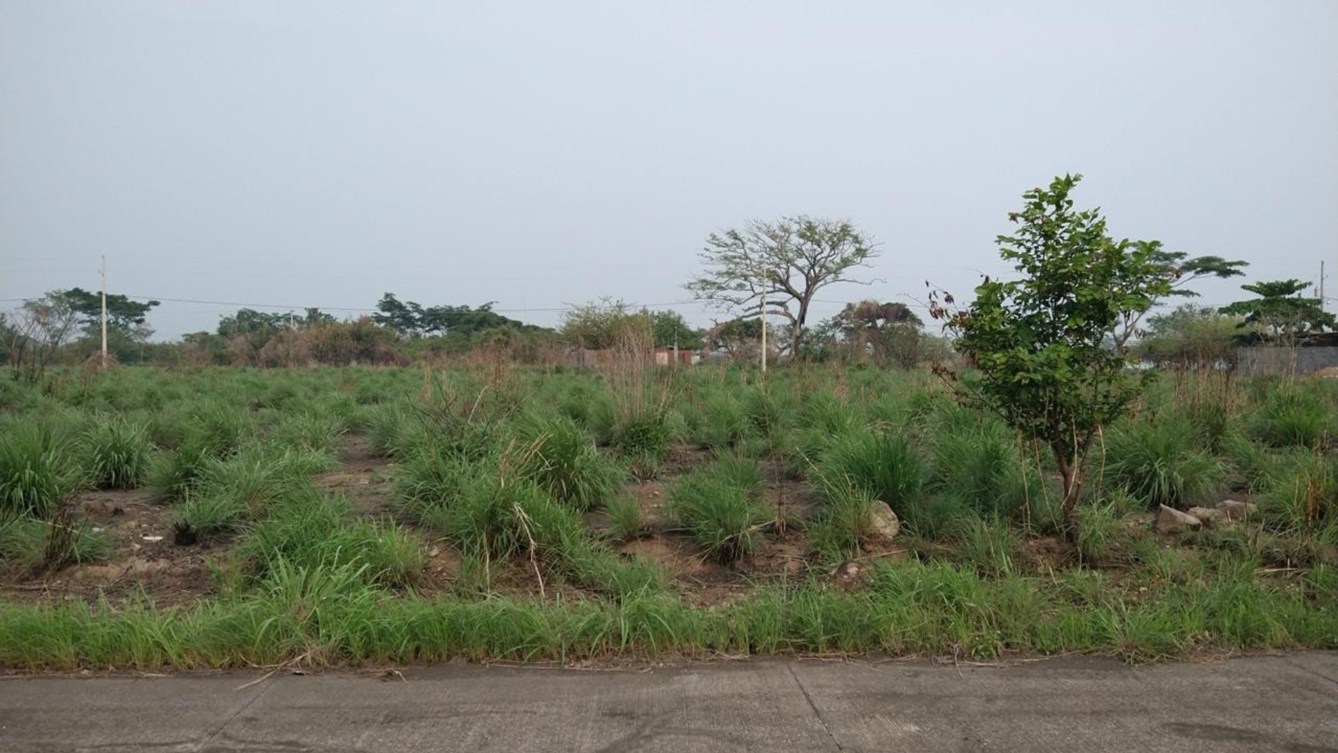 Terreno en Venta Quintas La Ponderosa, KM 77