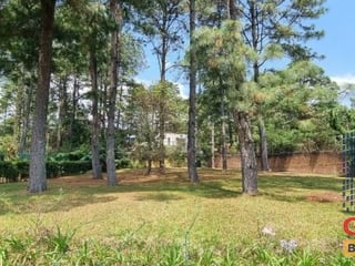 Terreno en Venta, Zona 11 (V8623) - 4