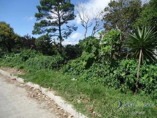 Venta Terreno en Aldea La Cumbre Villa Canales - 5