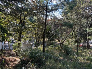 TERRENO EN RESIDENCIALES BOSQUES DE VISTALAGO SANTA CATARINA PINULA  - 2