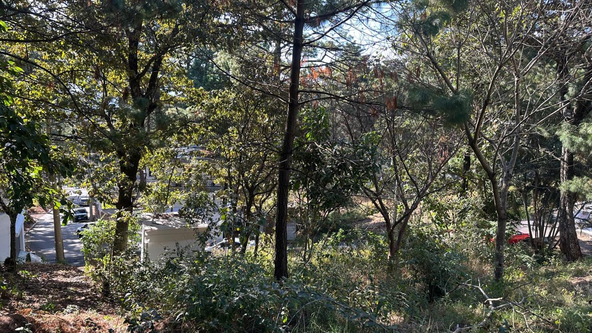 TERRENO EN RESIDENCIALES BOSQUES DE VISTALAGO SANTA CATARINA PINULA  - Miniatura 2