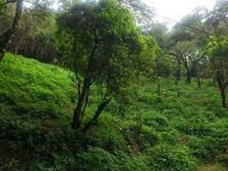 Terreno en Venta en Granja Buenos Aires - 3