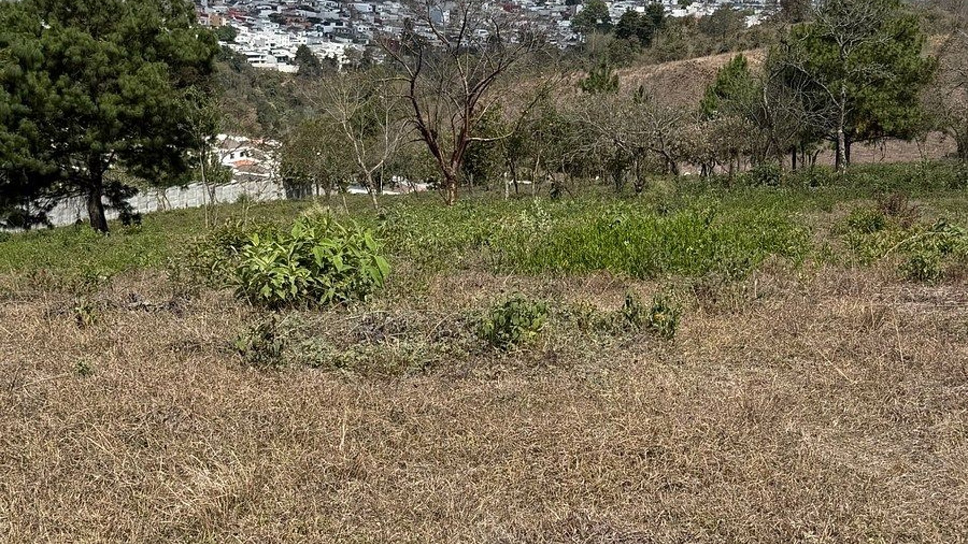 Terreno en renta en Zona 16, camino al Pulte - Miniatura 8