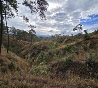 Terreno en Venta San Pedro Sacatepéquez, Guatemala