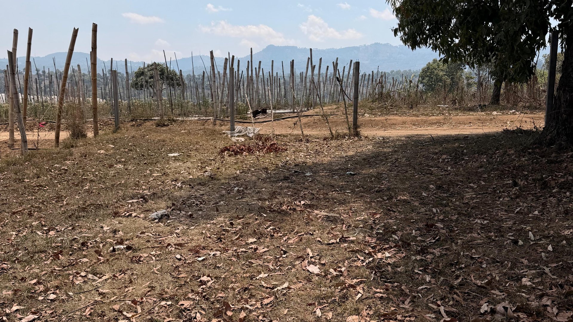Terreno en Venta Sumpango, Sacatepéquez: 3.7 Hectáreas para su Proyecto - Miniatura 13